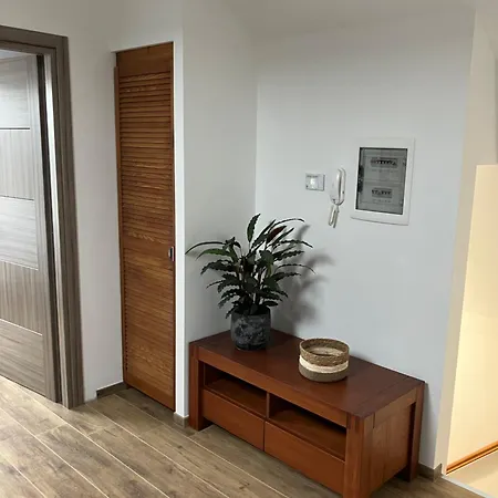 Freshly Renovated Cosy Apartment Haarlem Exterior photo