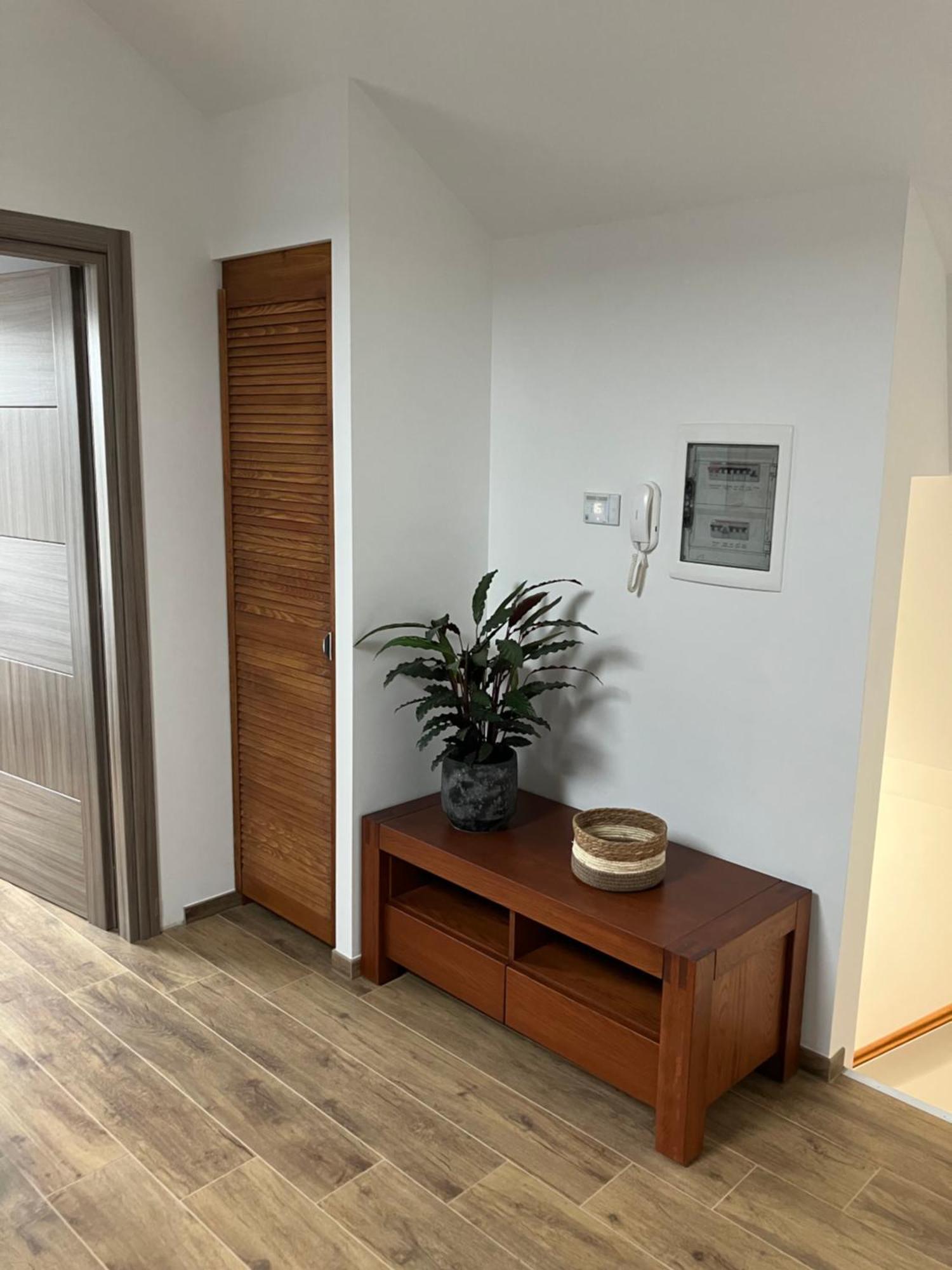 Freshly Renovated Cosy Apartment Haarlem