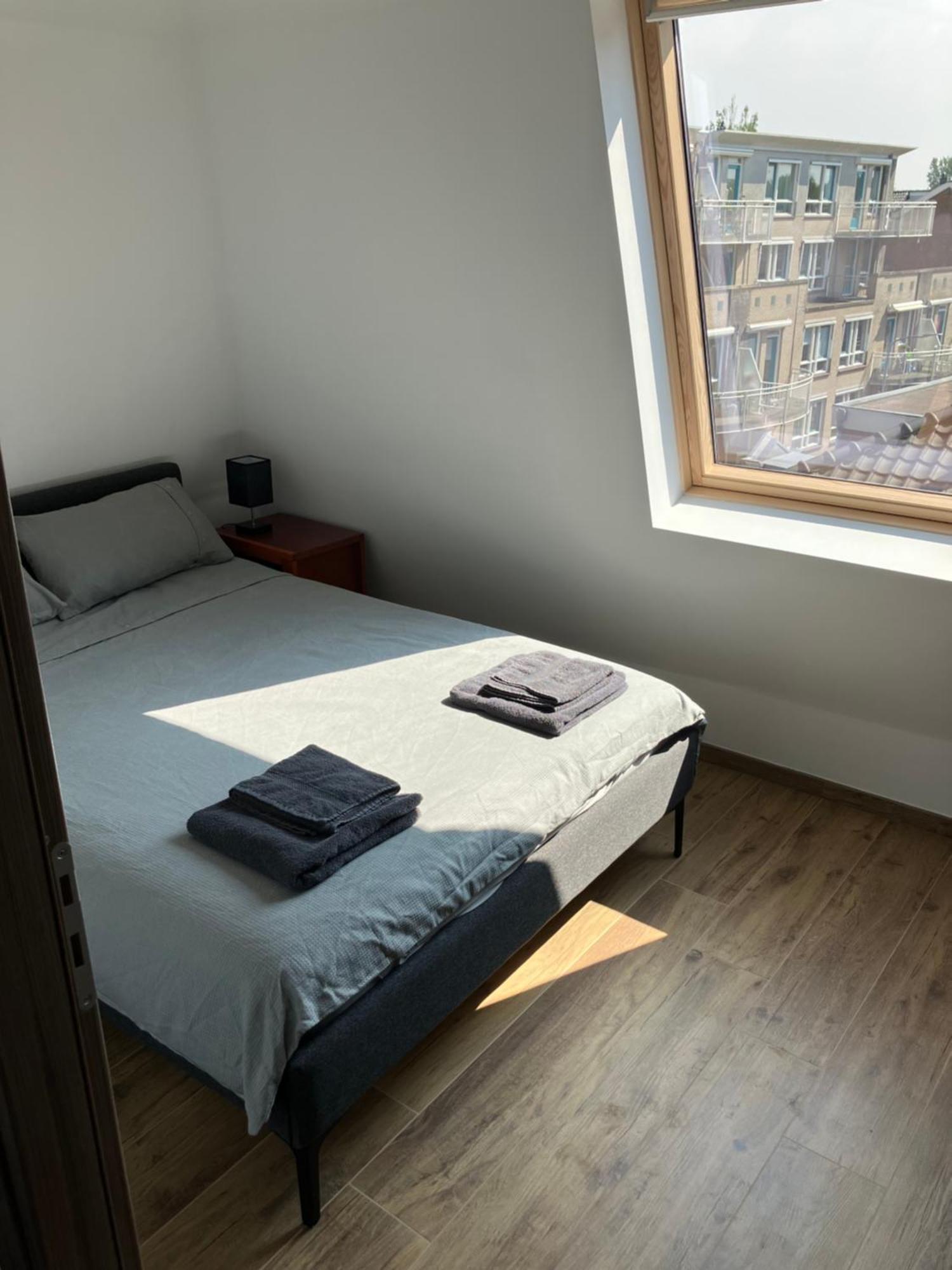 Freshly Renovated Cosy Apartment